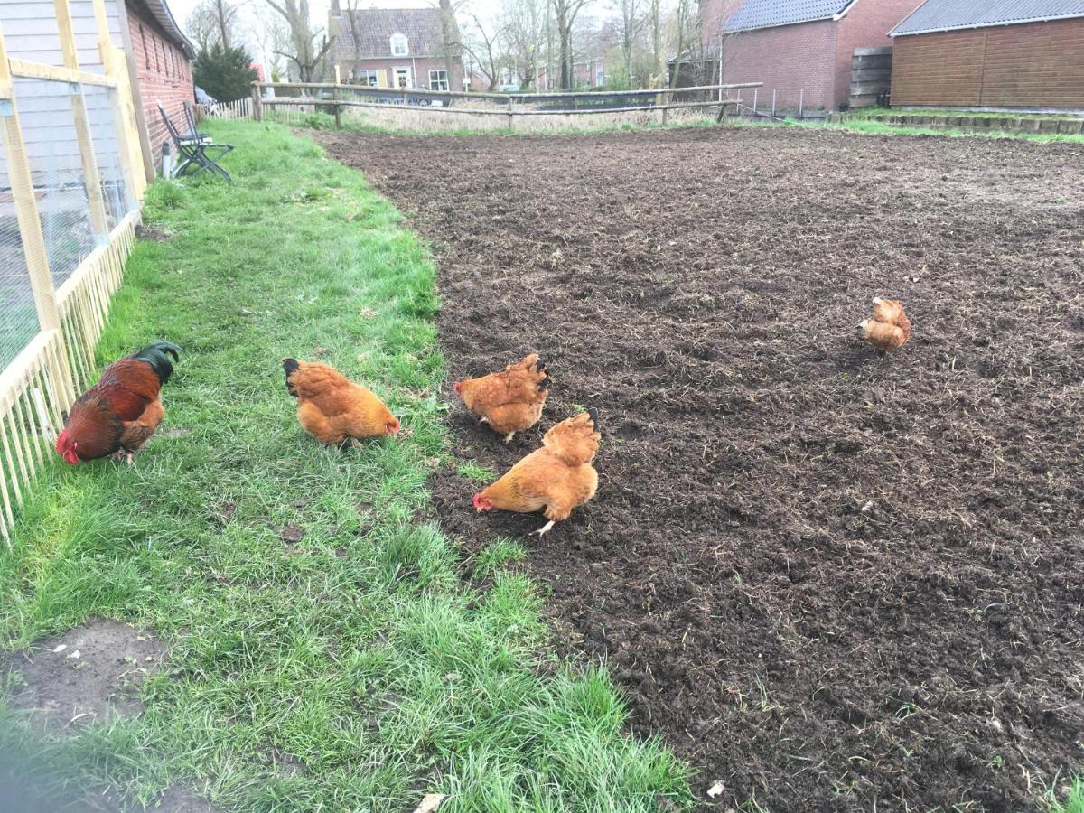 Onder De Boom Bed & Breakfast Gerkesklooster ภายนอก รูปภาพ
