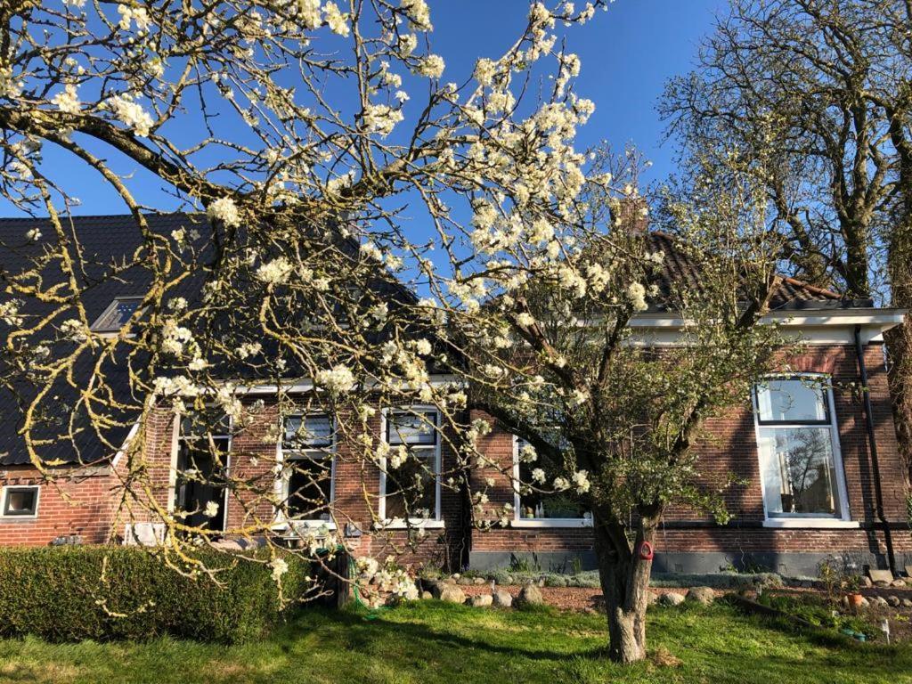 Onder De Boom Bed & Breakfast Gerkesklooster ภายนอก รูปภาพ