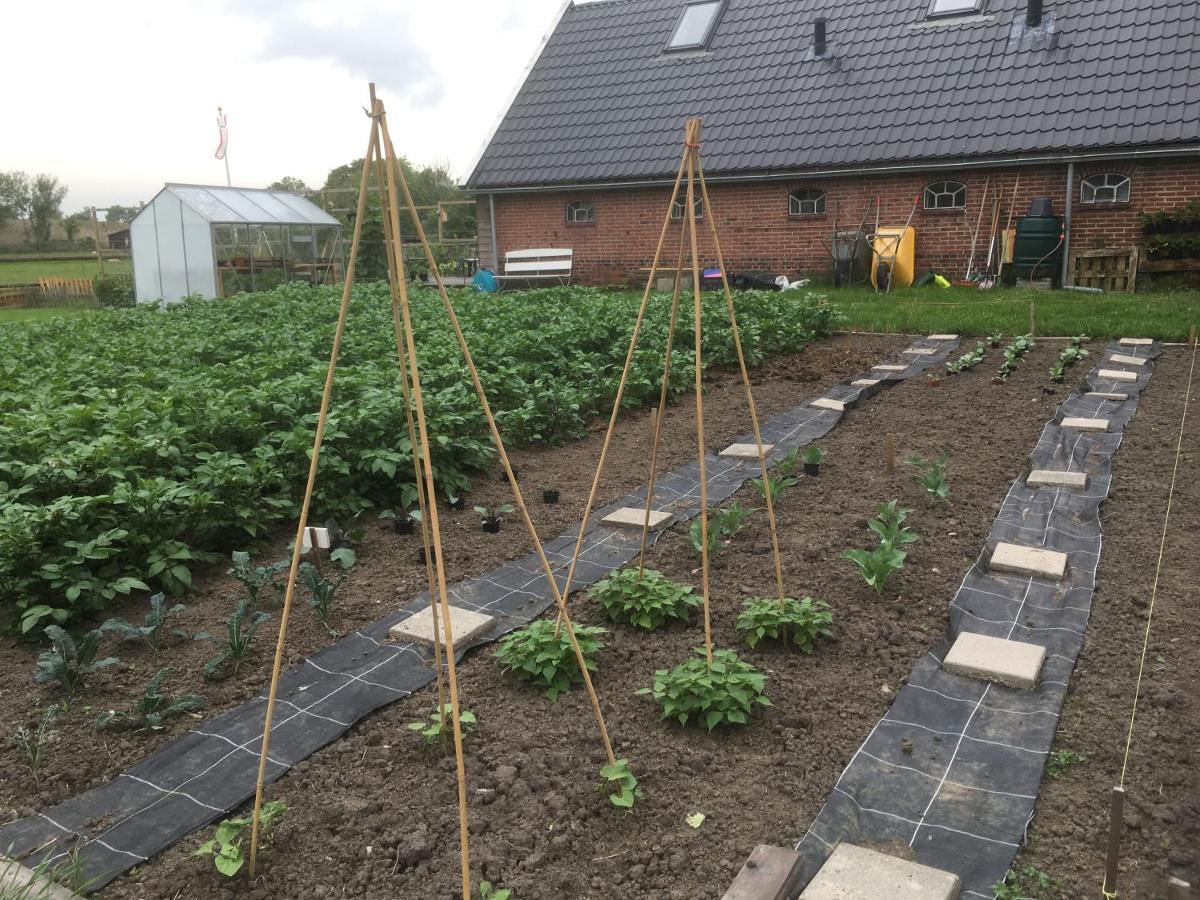 Onder De Boom Bed & Breakfast Gerkesklooster ภายนอก รูปภาพ